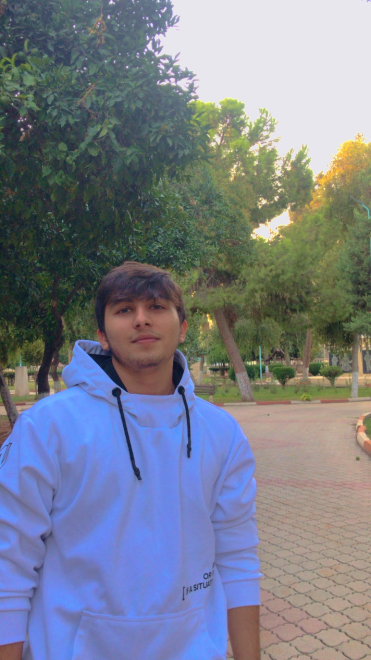 missing picture