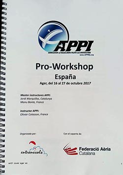 APPI workshop Spain October 2017